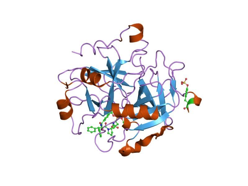 File:PDB 1h8d EBI.jpg