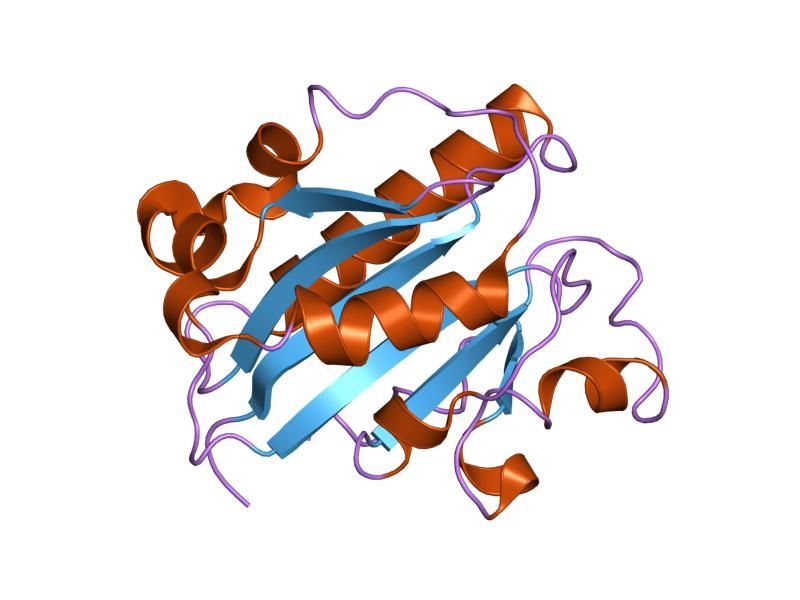 File:PDB 1mqa EBI.jpg