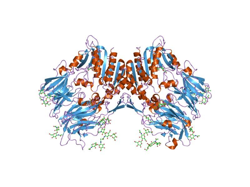 File:PDB 1tk3 EBI.jpg