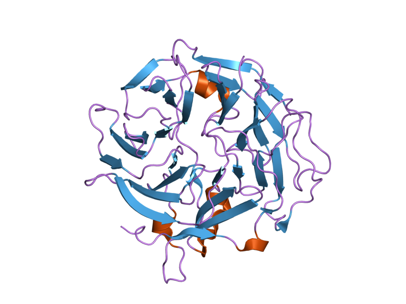 File:PDB 2b4e EBI.png