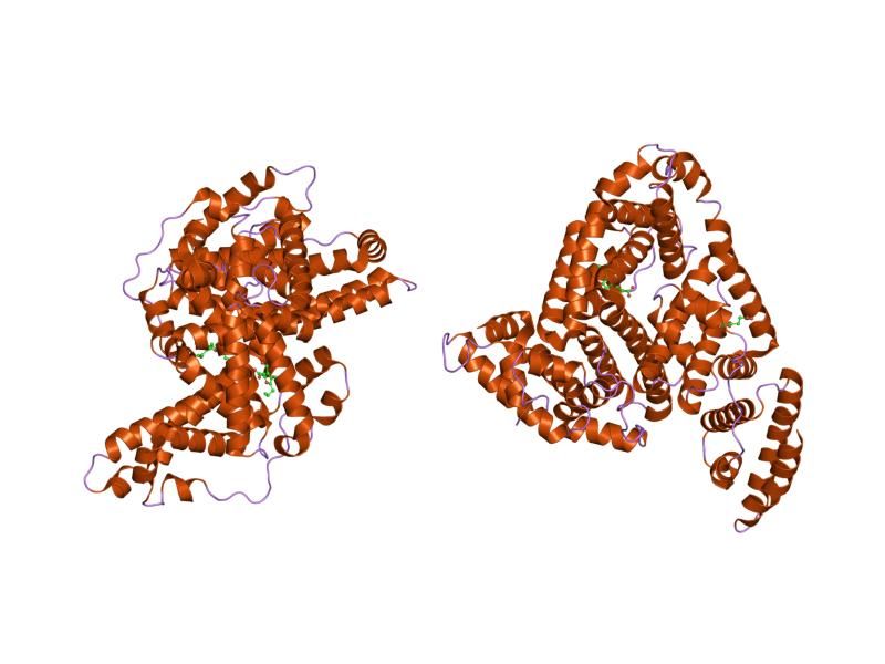 File:PDB 2bxa EBI.jpg