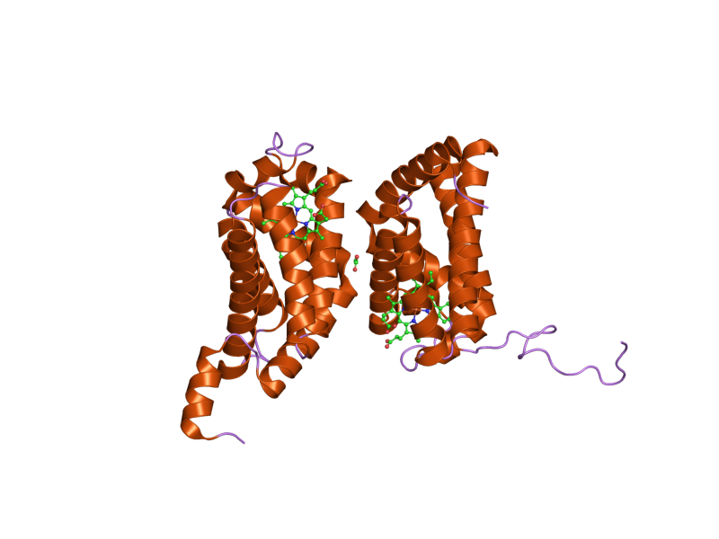 File:PDB 2dc3 EBI.png