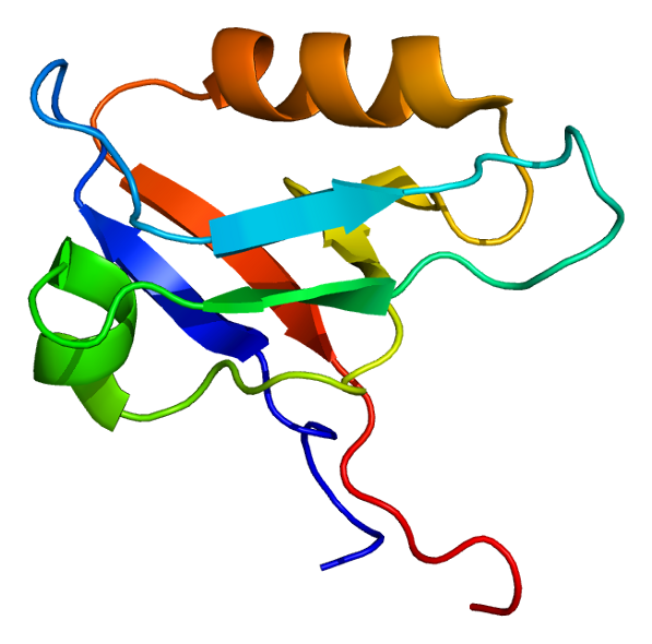 File:Protein LIN7C PDB 2dkr.png