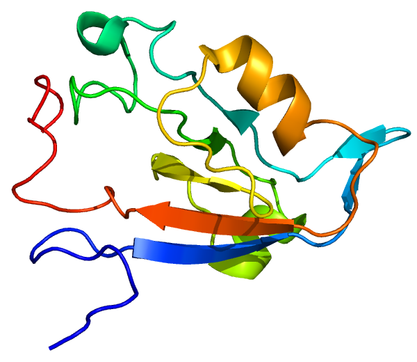 File:Protein TAX1BP3 PDB 2KG2.png