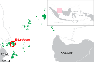 File:Riau Islands Bintan.png