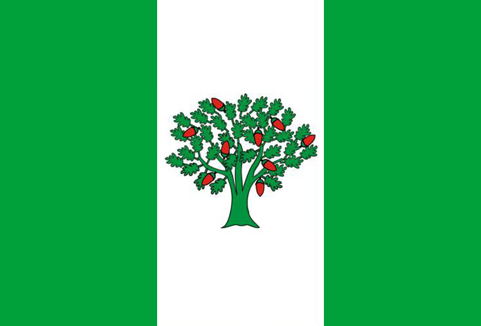 File:Bandeira de Cañiza (Provinza de Pontevedra).png