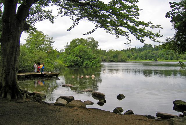 File:Bolam Lake - geograph.org.uk - 32356.jpg