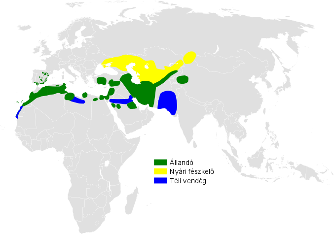 File:Calandrella rufescens distribution map.png