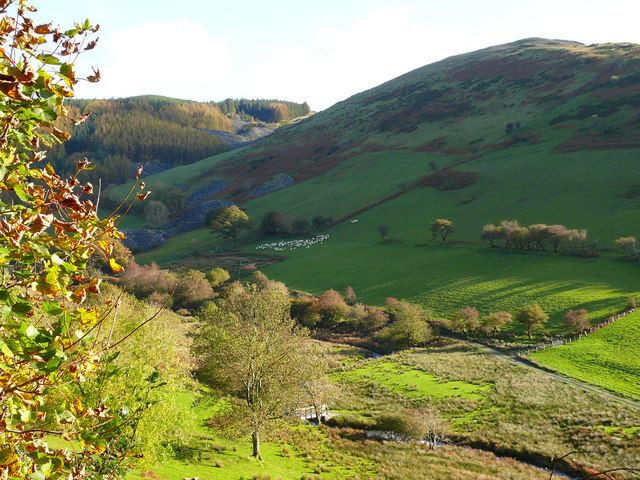 File:Cwm Ratgoed - geograph.org.uk - 1011296.jpg