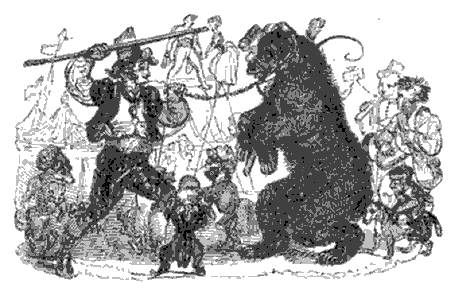 File:Grizzly Bear, Tower Menaggerie, 1829.jpg