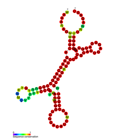 File:IscRS SS.png