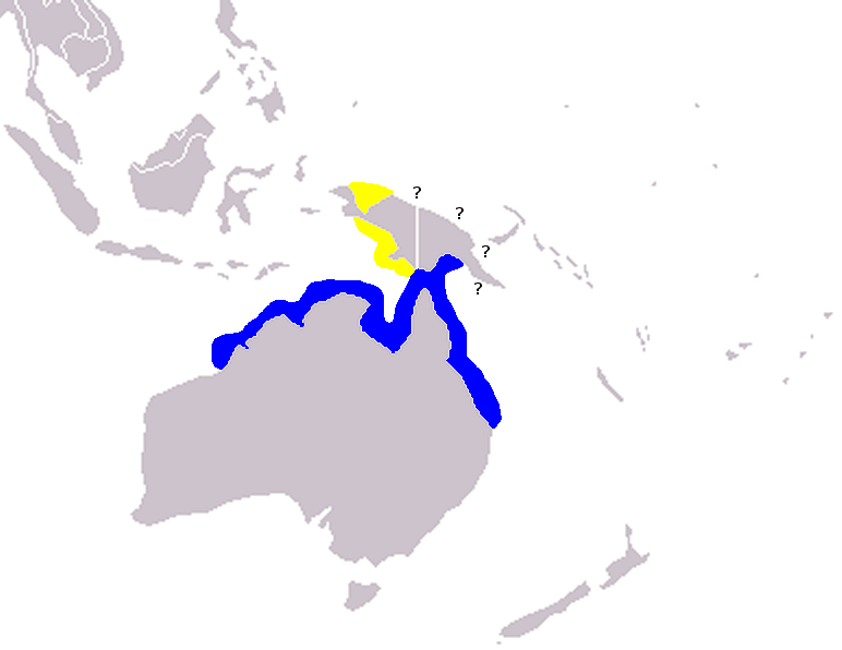 File:Orcaella heinsohni range.png