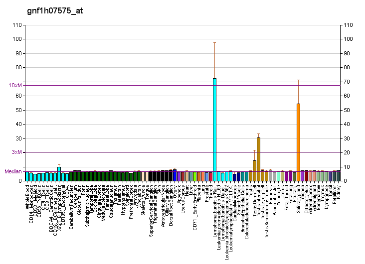 File:PBB GE OR10AD1 gnf1h07575 at fs.png