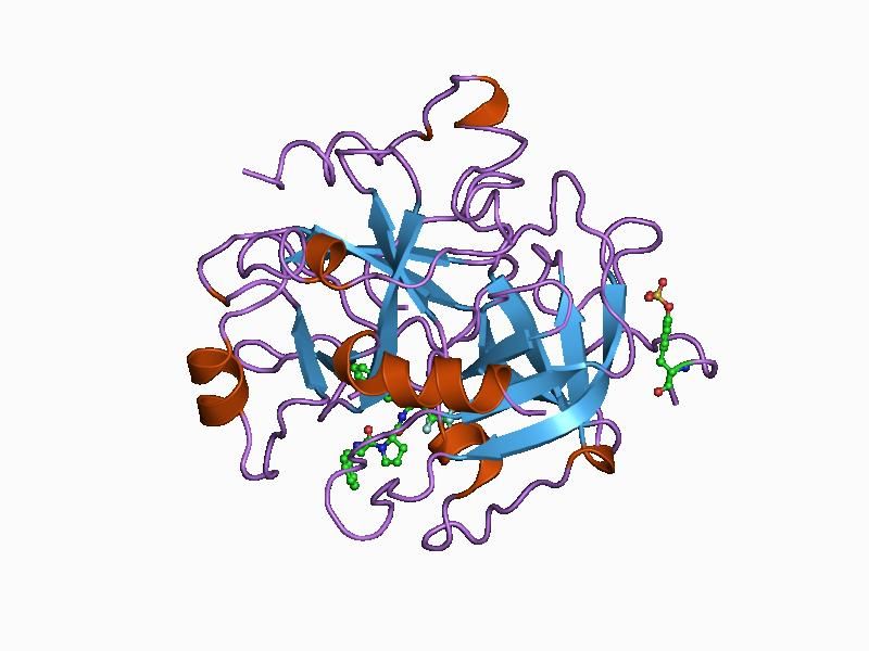 File:PDB 1ad8 EBI.jpg