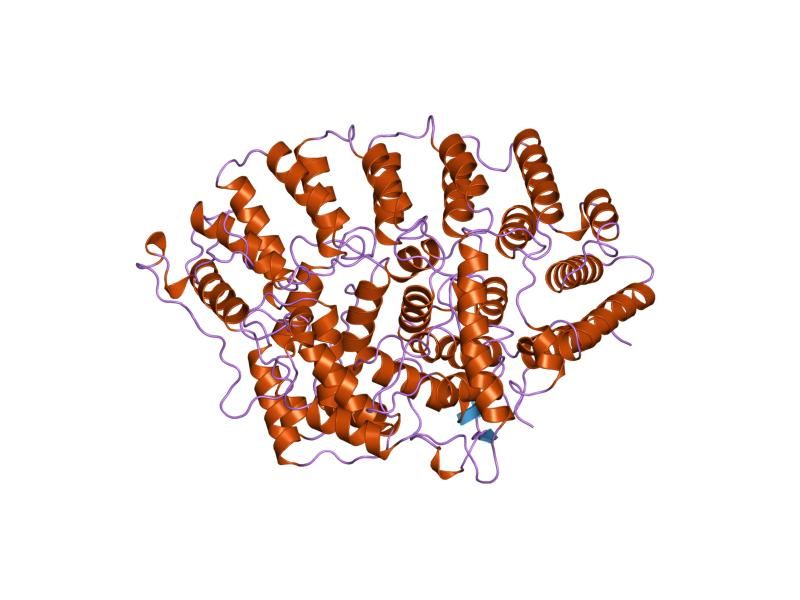 File:PDB 1ft1 EBI.jpg