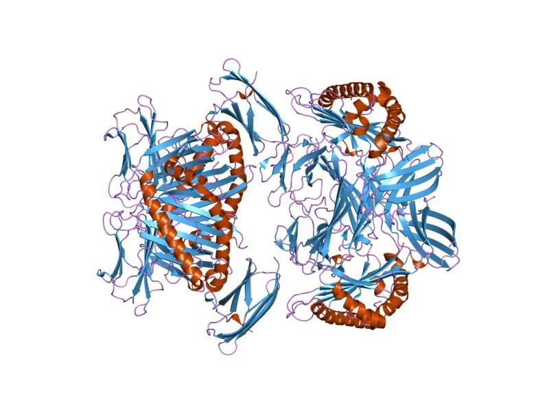 File:PDB 1im3 EBI.jpg