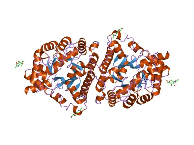 File:PDB 1itq EBI.jpg