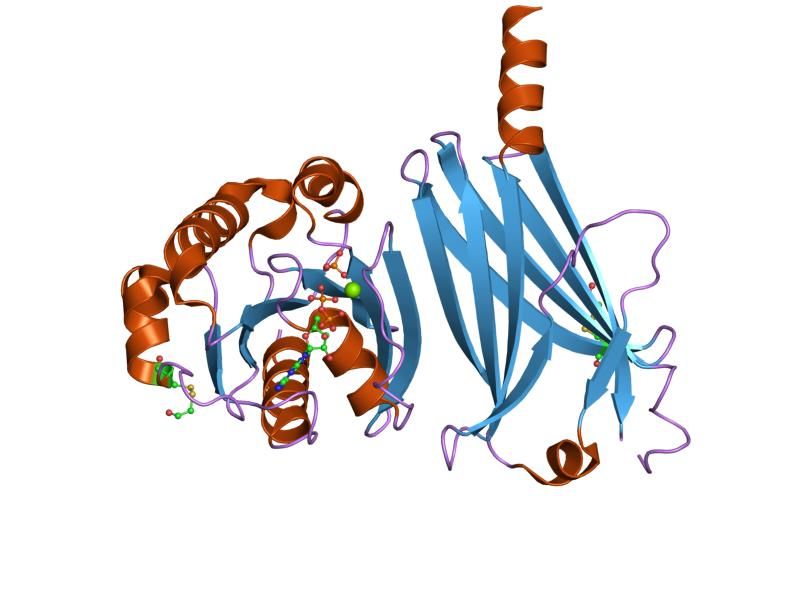 File:PDB 1ksh EBI.jpg