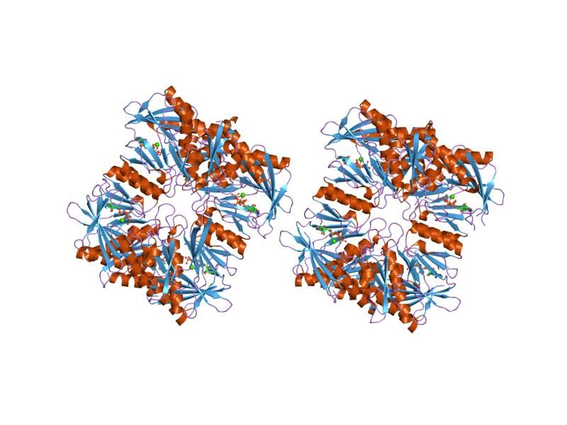 File:PDB 1pk8 EBI.jpg