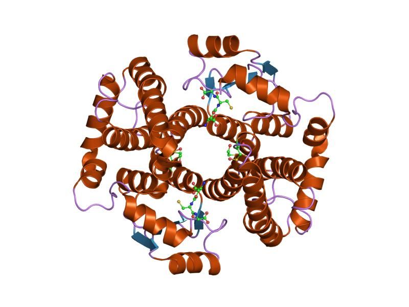 File:PDB 1pkw EBI.jpg