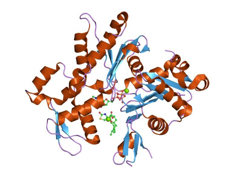 File:PDB 1rdw EBI.jpg