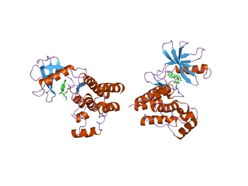 File:PDB 1sm2 EBI.jpg