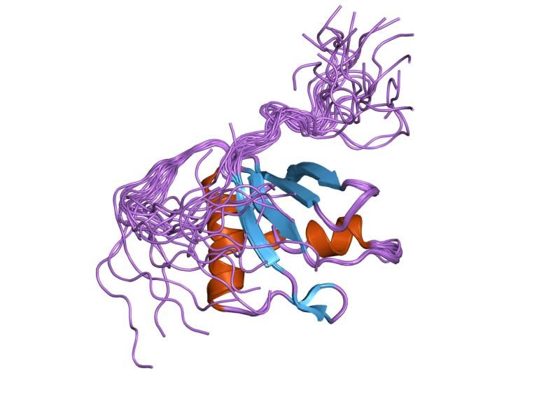 File:PDB 1x4d EBI.jpg