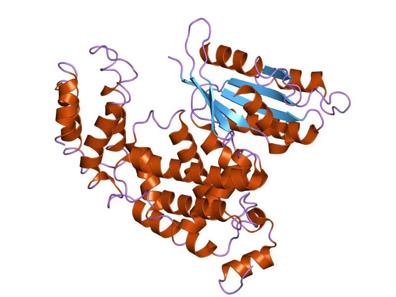 File:PDB 2ot3 EBI.jpg