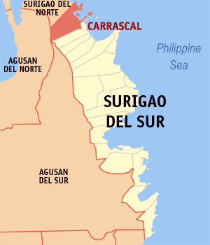 File:Ph locator surigao del sur carrascal.png