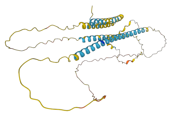 File:Predicted Tertiary Structure of TMEM271.png