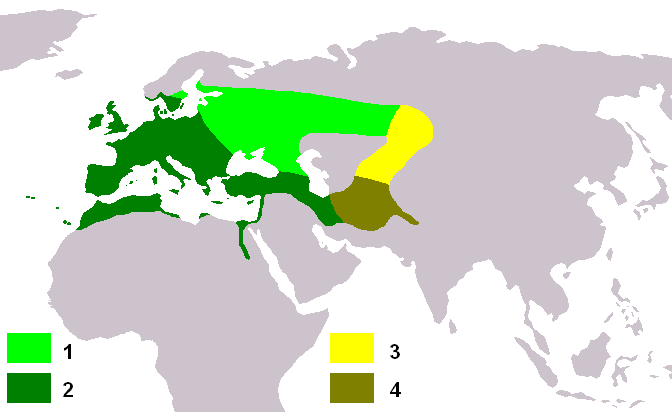 File:Carduelis carduelis map.png