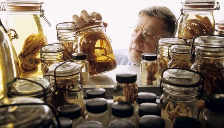 File:Clyde Roper with jars.jpg