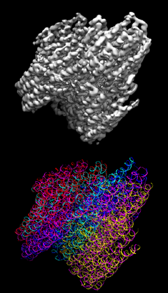 File:DNA Origami.png