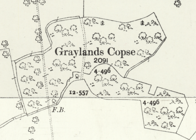 File:Graylands Copse Map 1914.png