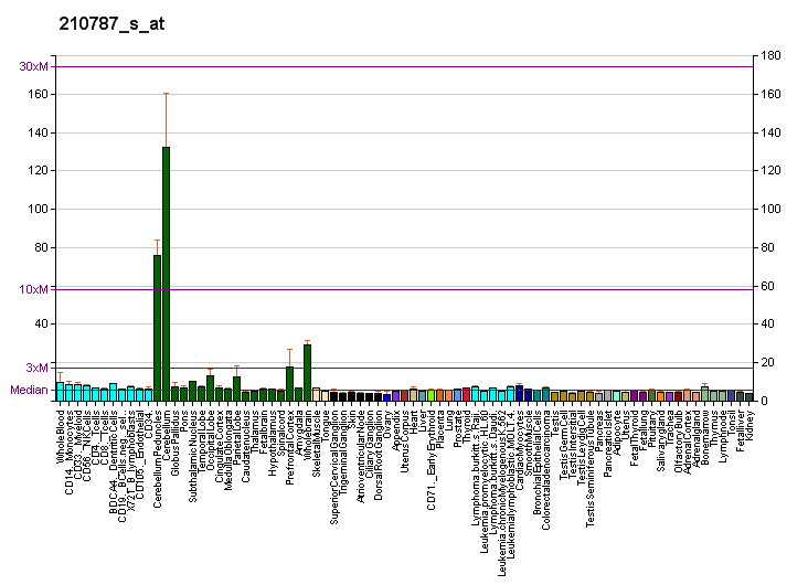 File:PBB GE CAMKK2 210787 s at fs.png