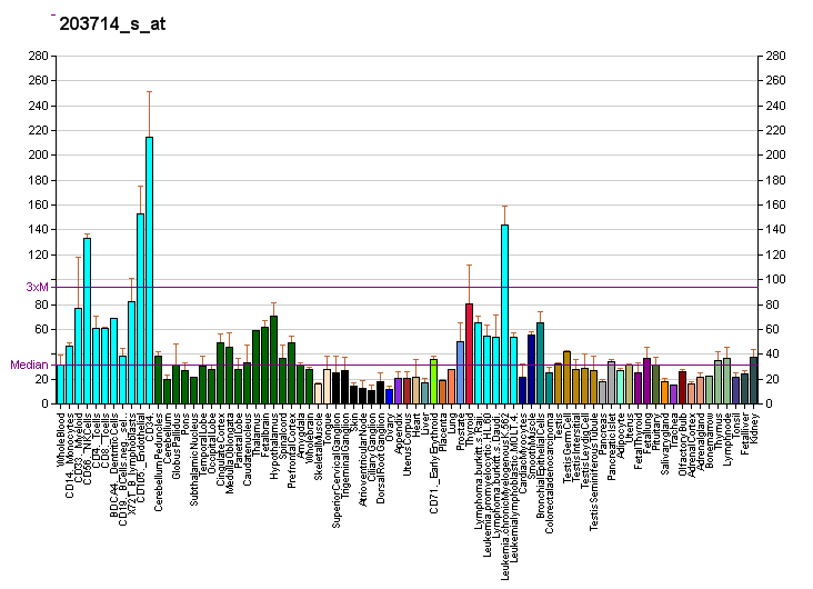 File:PBB GE TBCE 203714 s at fs.png