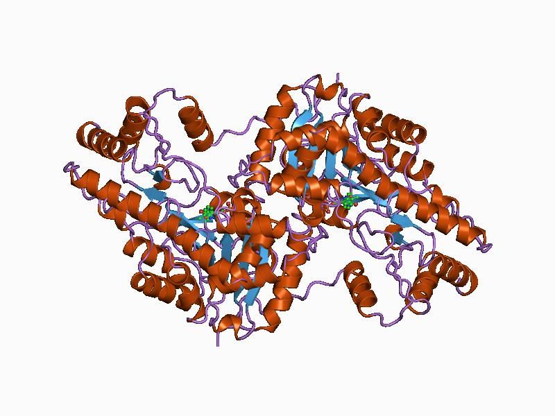 File:PDB 1ajr EBI.jpg