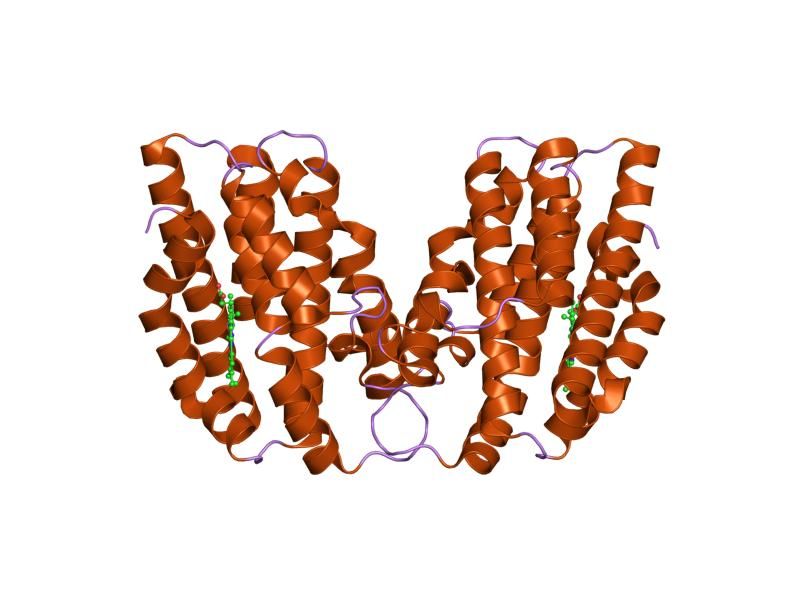 File:PDB 1twn EBI.jpg