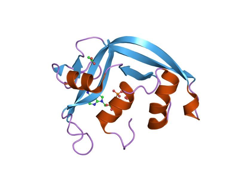 File:PDB 2c05 EBI.jpg