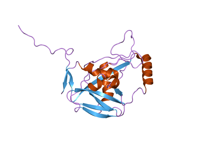 File:PDB 2cl3 EBI.png