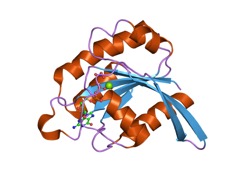 File:PDB 2fe4 EBI.png