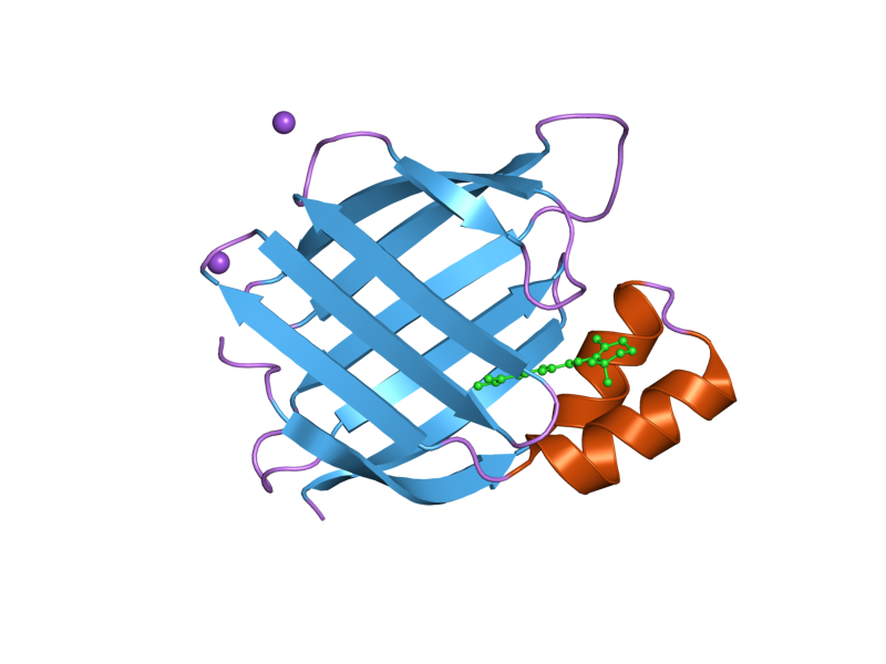 File:PDB 2g7b EBI.png