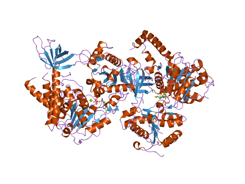 File:PDB 2gk6 EBI.png