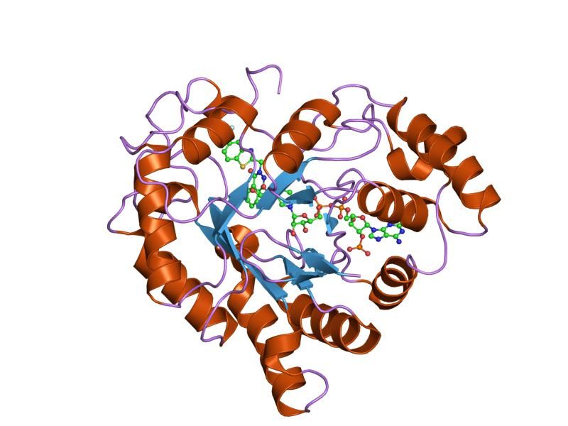 File:PDB 2hv5 EBI.jpg