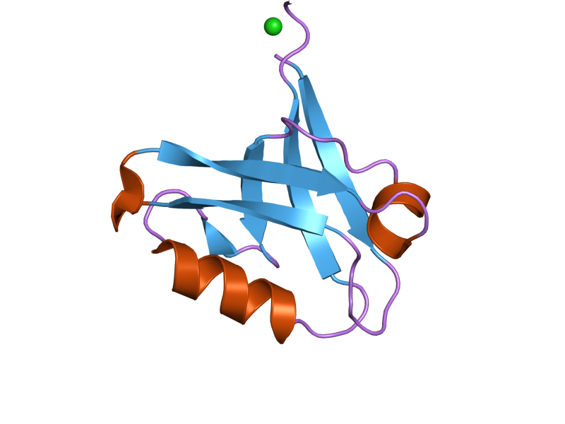 File:PDB 2pa1 EBI.png