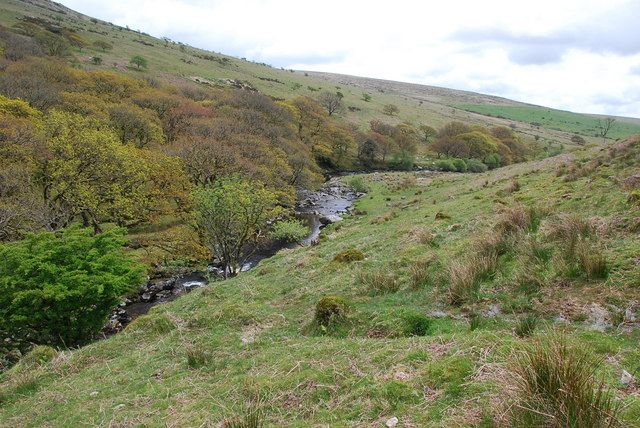 File:River Erme - geograph.org.uk - 1299803.jpg