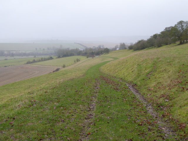 File:Westfield Farm Chalk Bank (1).jpg