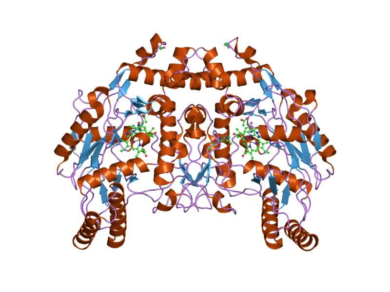 File:PDB 1dm8 EBI.jpg