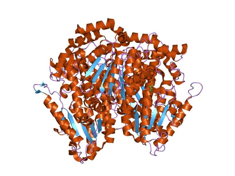 File:PDB 1g98 EBI.jpg