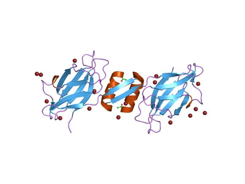 File:PDB 1osy EBI.jpg